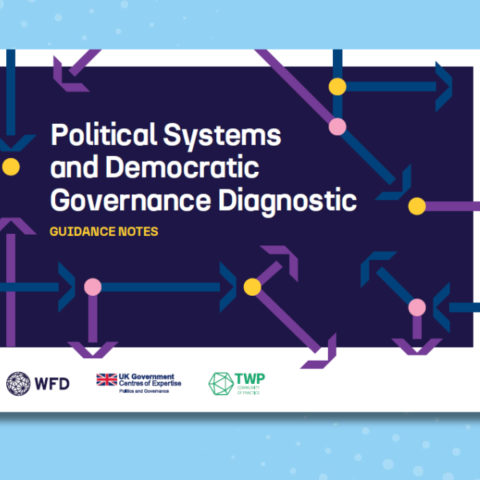The front cover of the political systems and democratic governance diagnostic