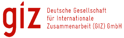 GIZ logo