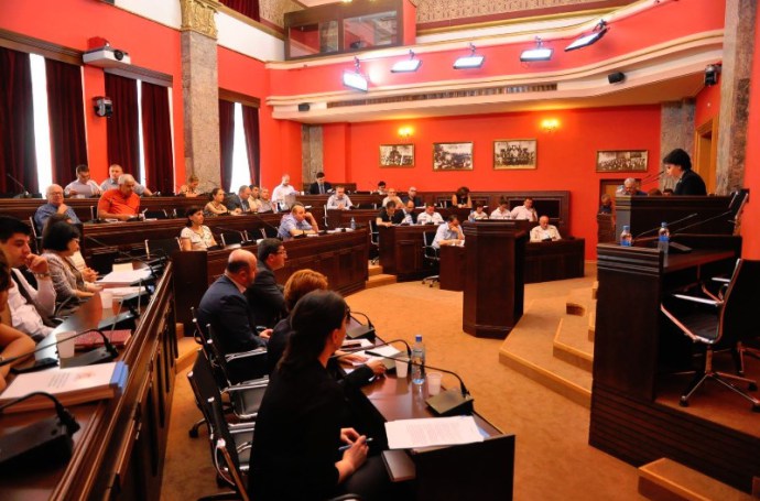 Georgian Human Rights committee in parliament