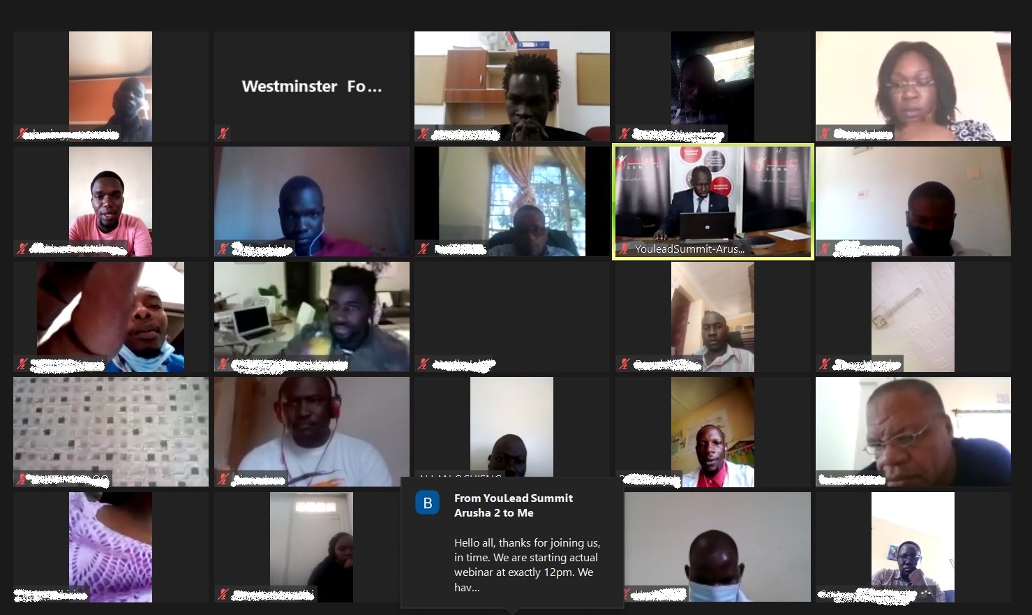 Screenshot of people in a webinar