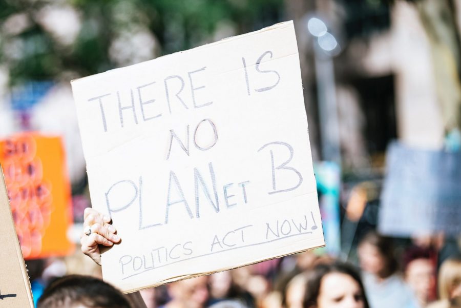 A hand holding a placard written there is no planet B