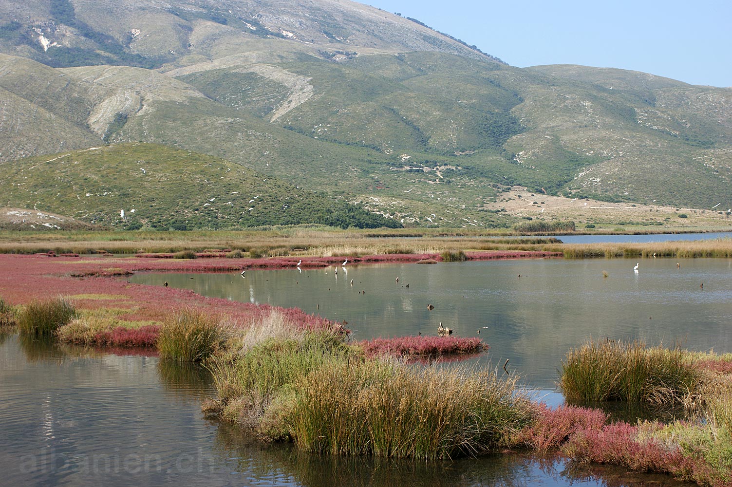 Albania 