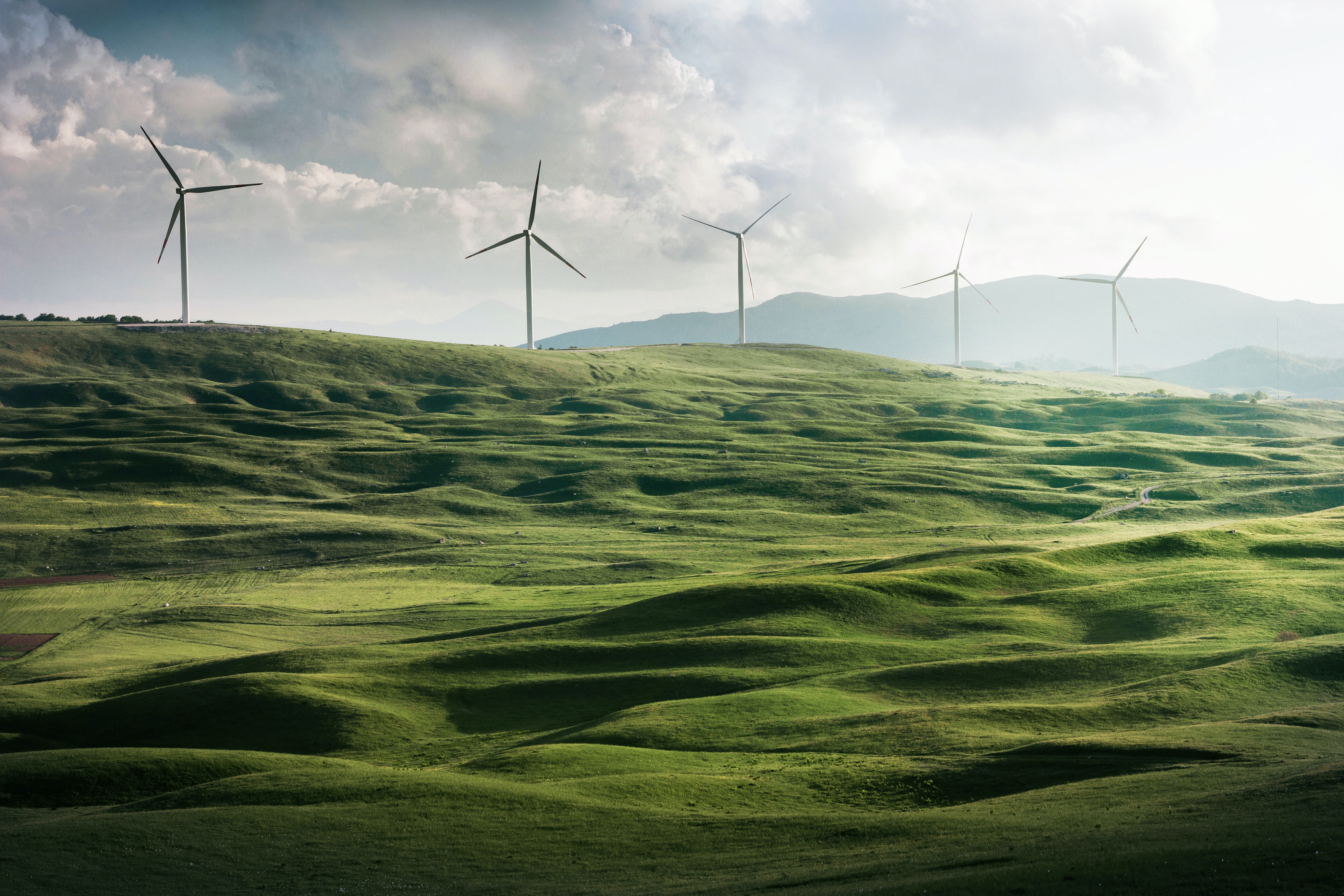 Image of windmill 