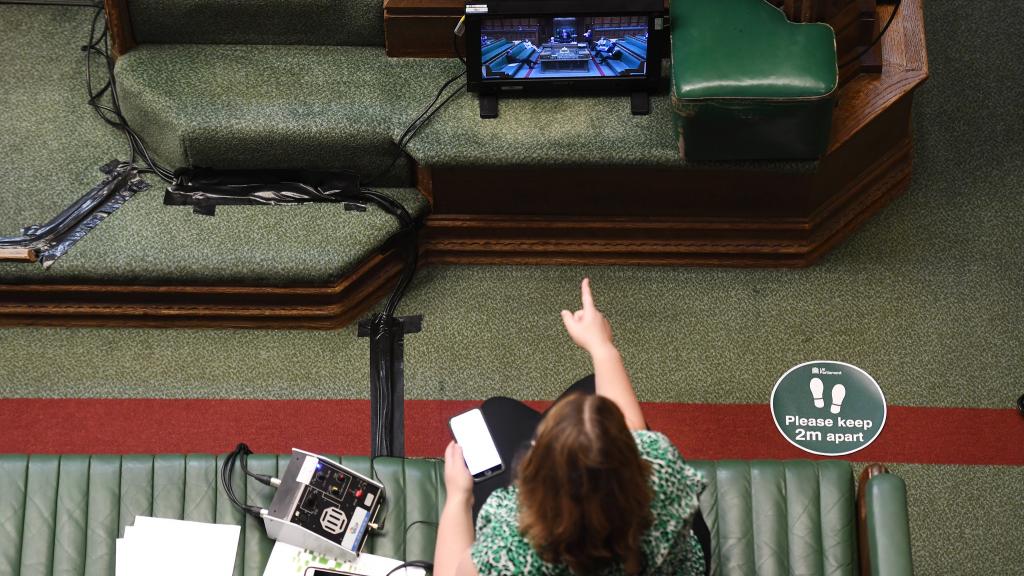 A woman in the uk parliament points at a screen