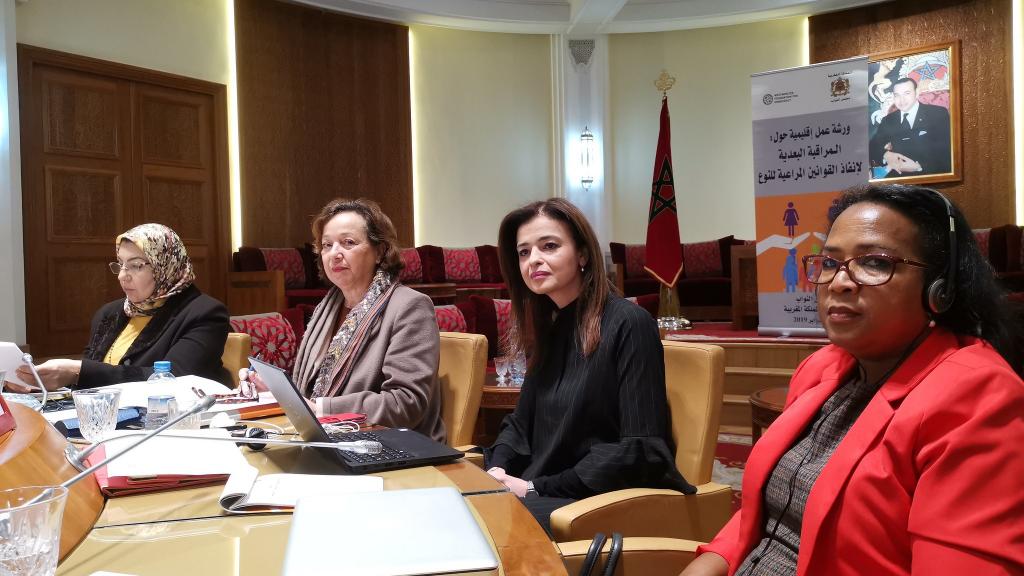 Women MPs in Morocco in a meeting with a WFD staff member
