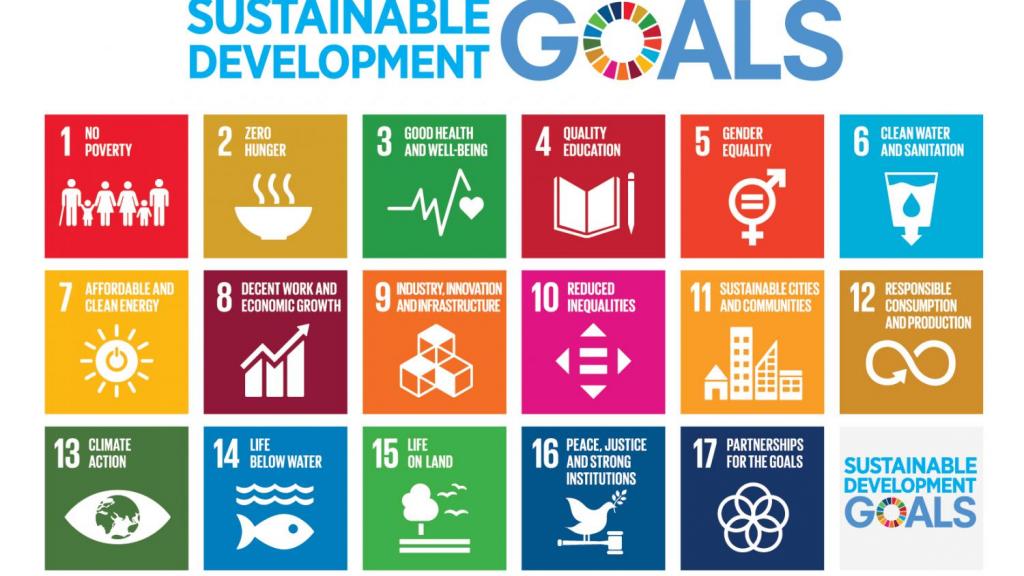 Infographic of the sustainable development goals