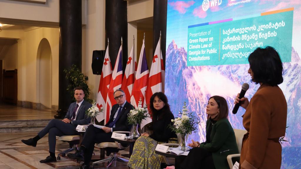 A woman speaks into a microphone at a panel event. In the background are an image of mountains and Georgian flags