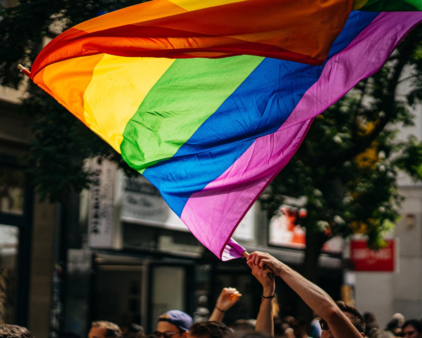 pride flag waving above protestors