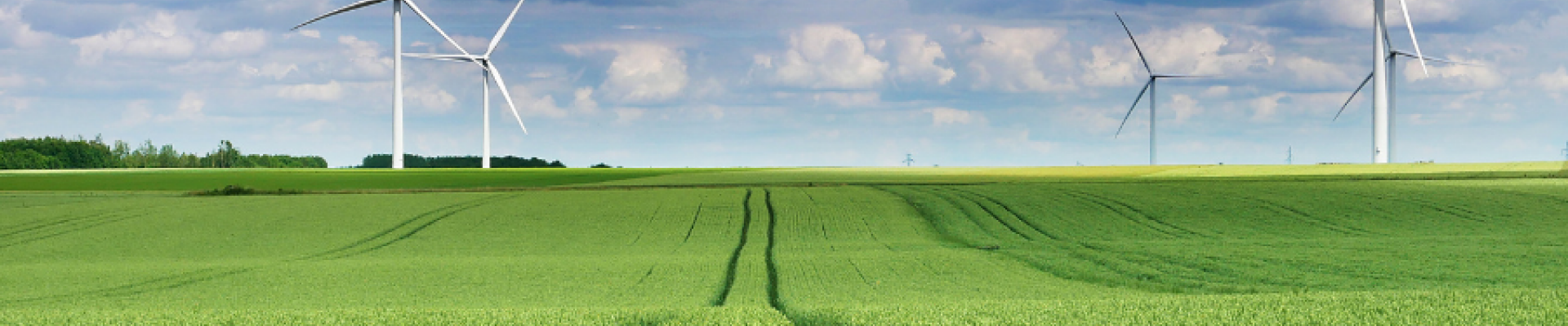 A plantation with windmills