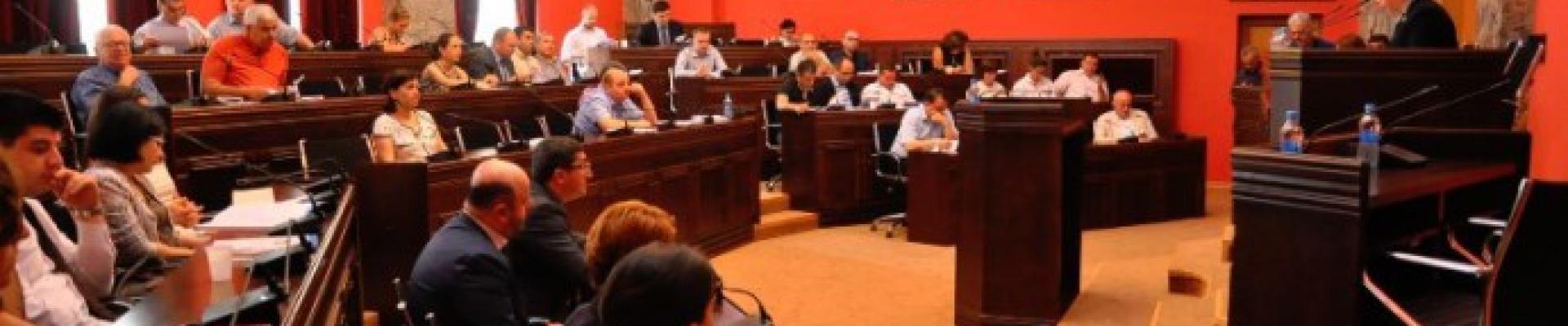 Georgian Human Rights committee in parliament