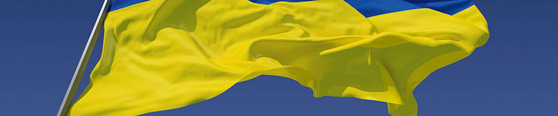 Ukrainian flag