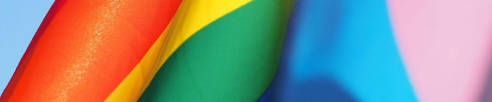 Rainbow flag