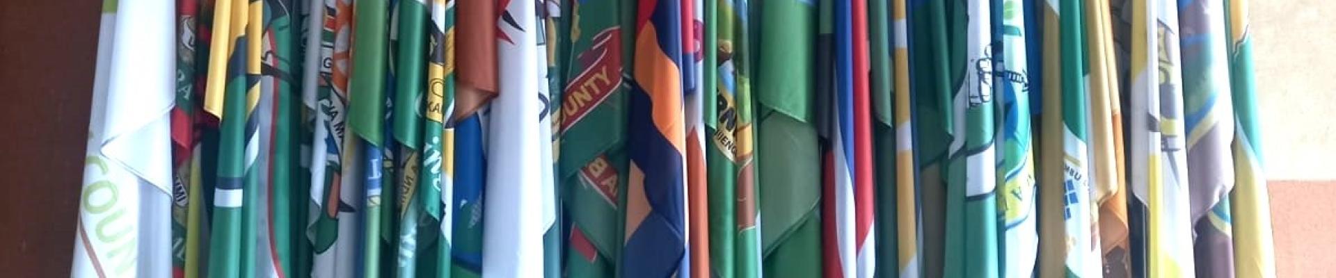 Senate of Kenya flags