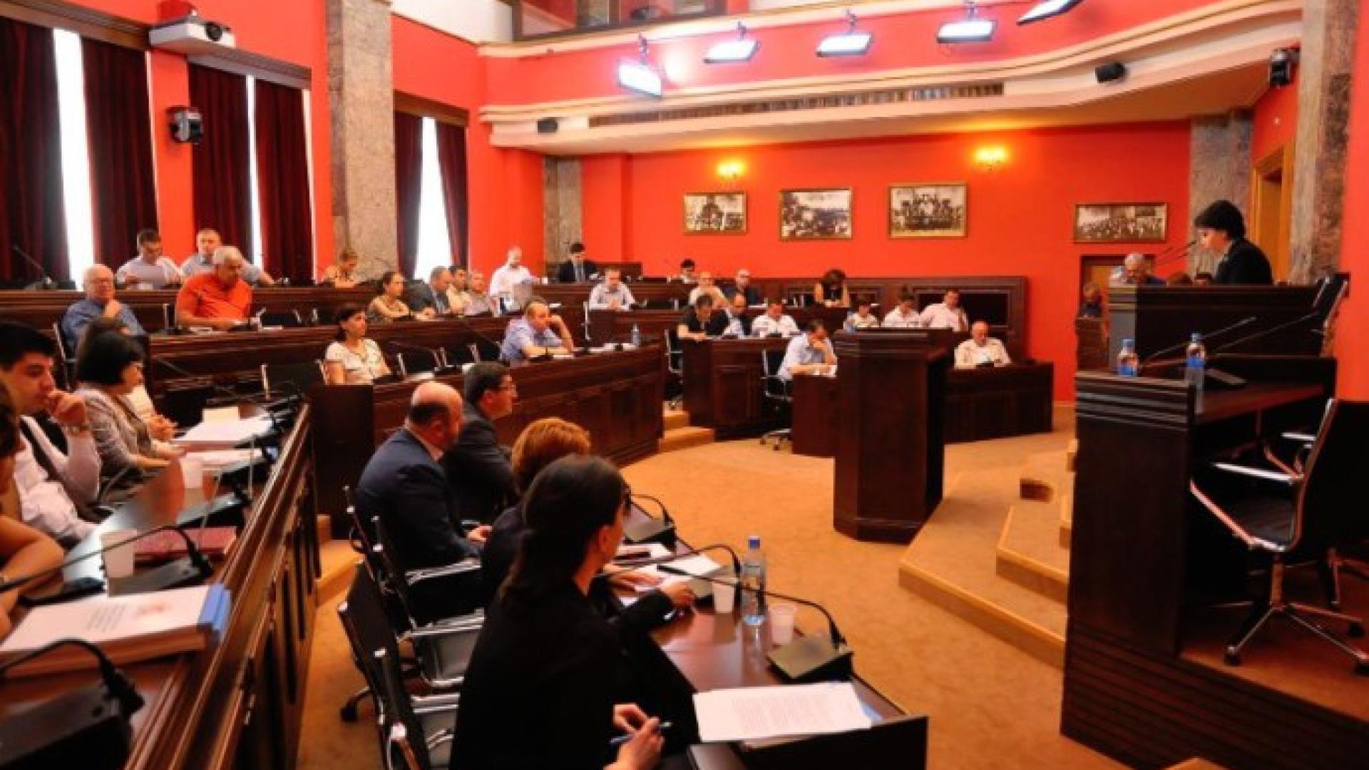 Georgian Human Rights committee in parliament