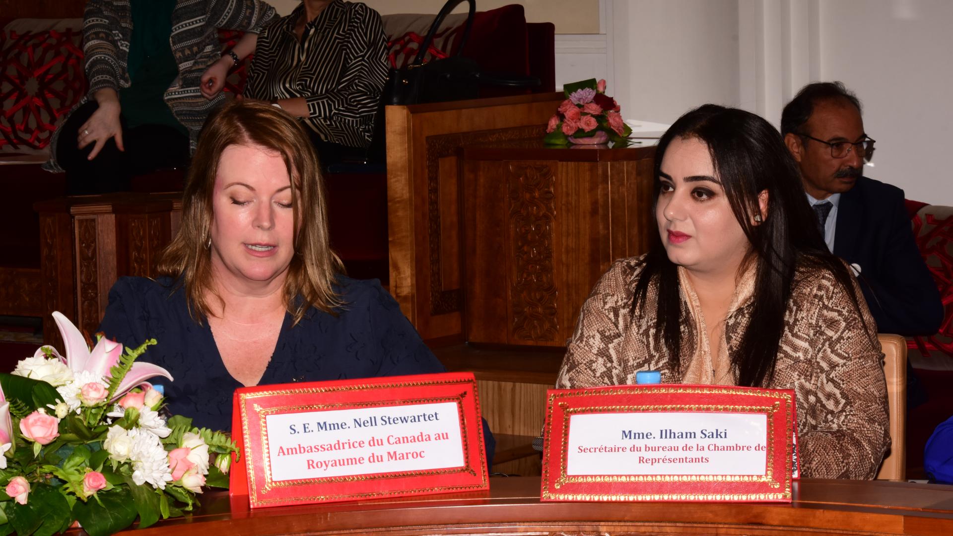 Two women leaders in a meeting