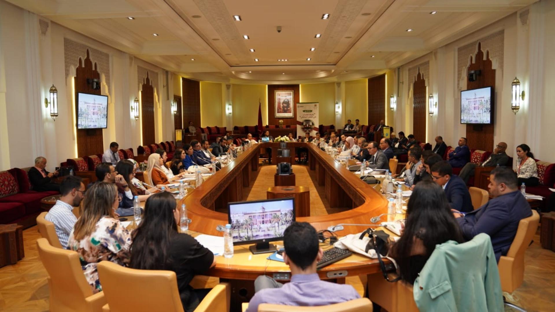 Training about parliamentary work for youth and youth focused civil society organisations (CSOs) in Morocco
