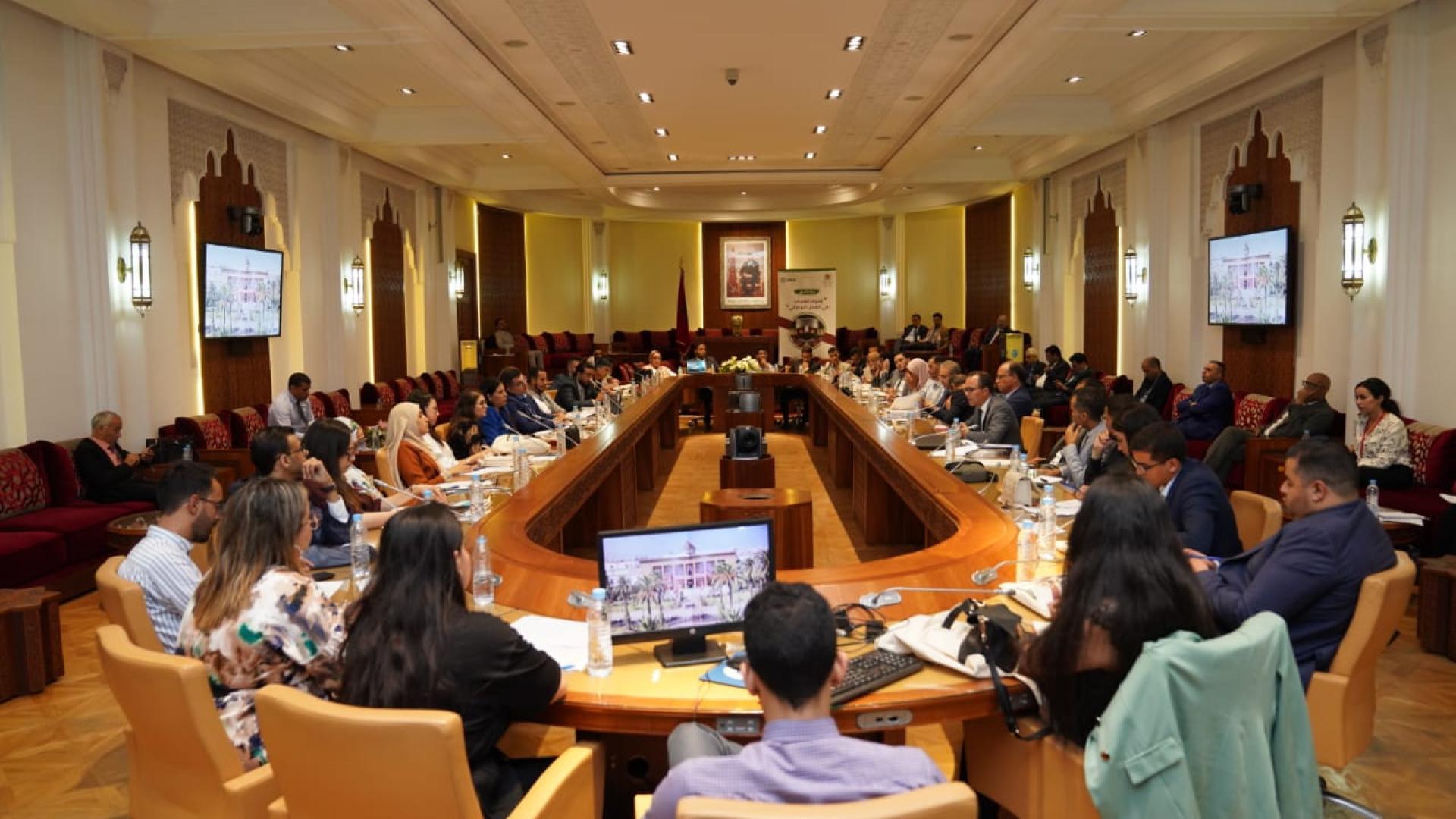 Training about parliamentary work for youth and youth focused civil society organisations (CSOs) in Morocco