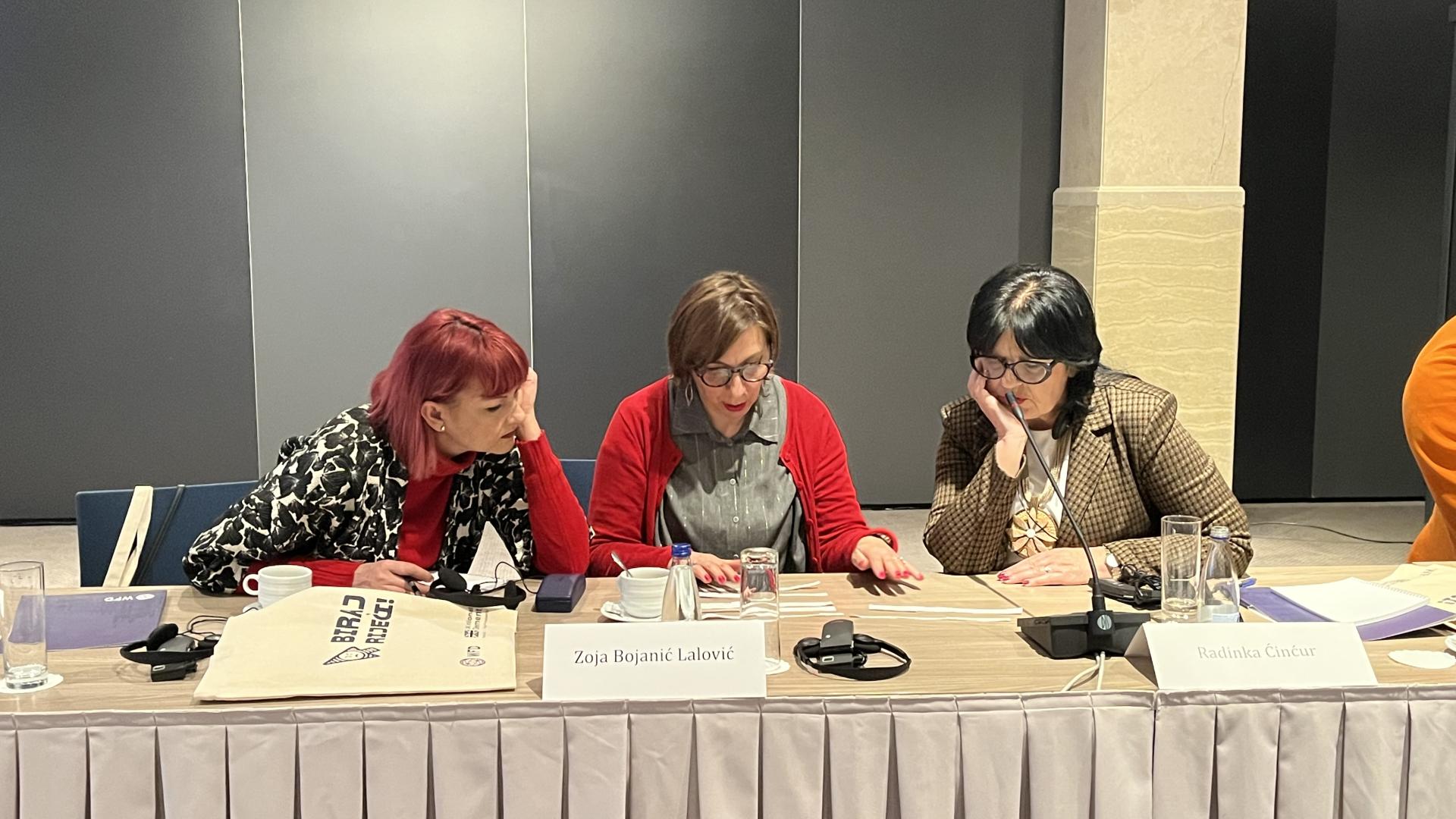Workshop VAWP Montenegro 5