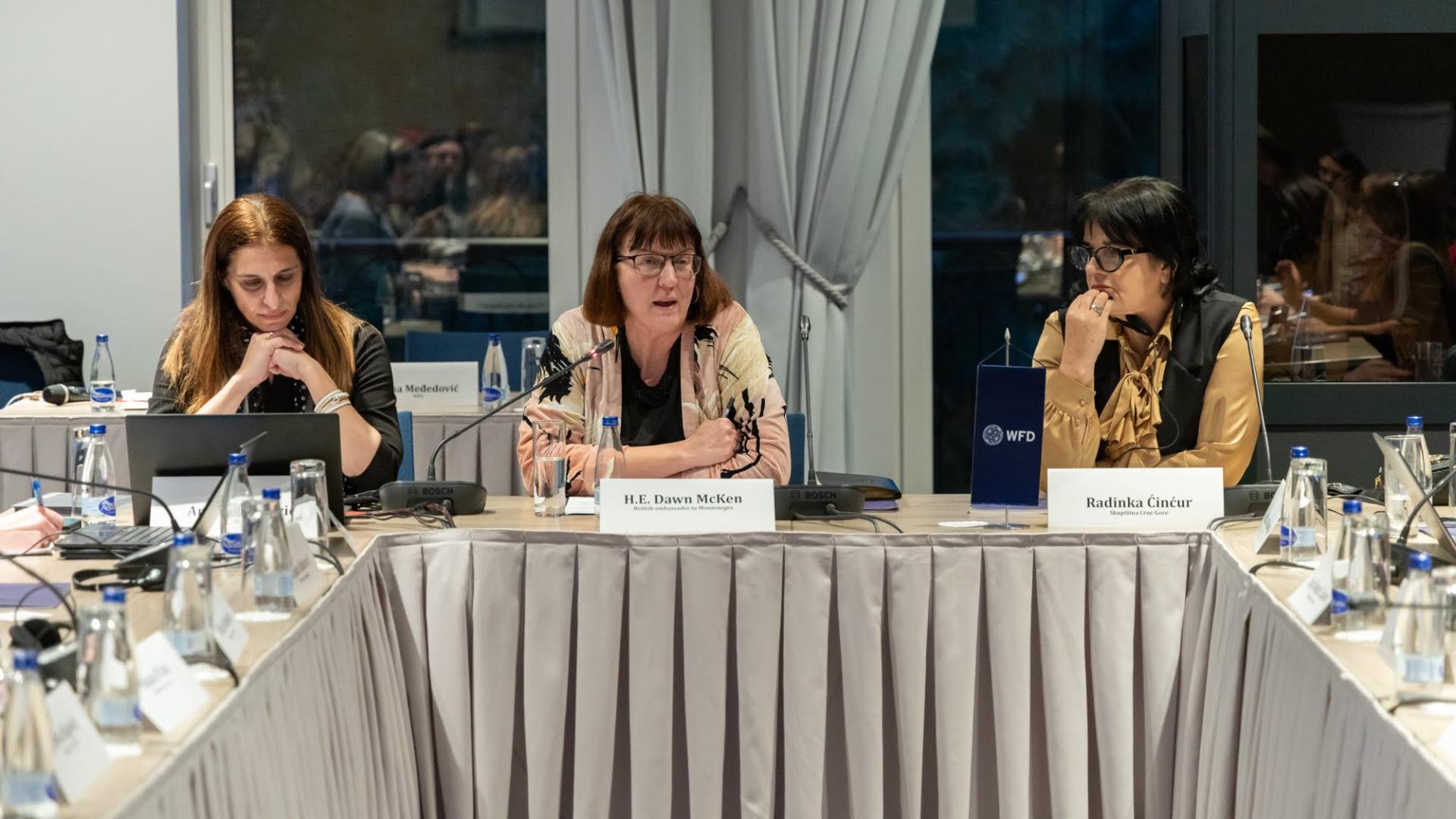 Workshop VAWP Montenegro 8