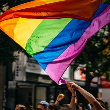 pride flag waving above protestors